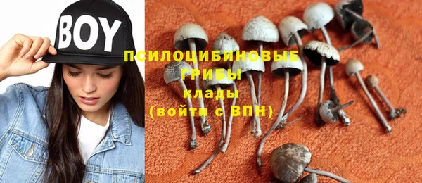 не бодяженный Армянск