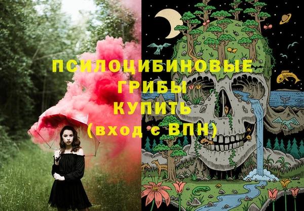 не бодяженный Армянск